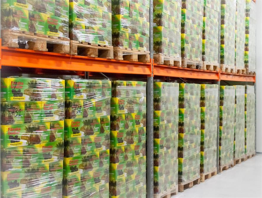 Annons:AC nassim-huset4.jpg